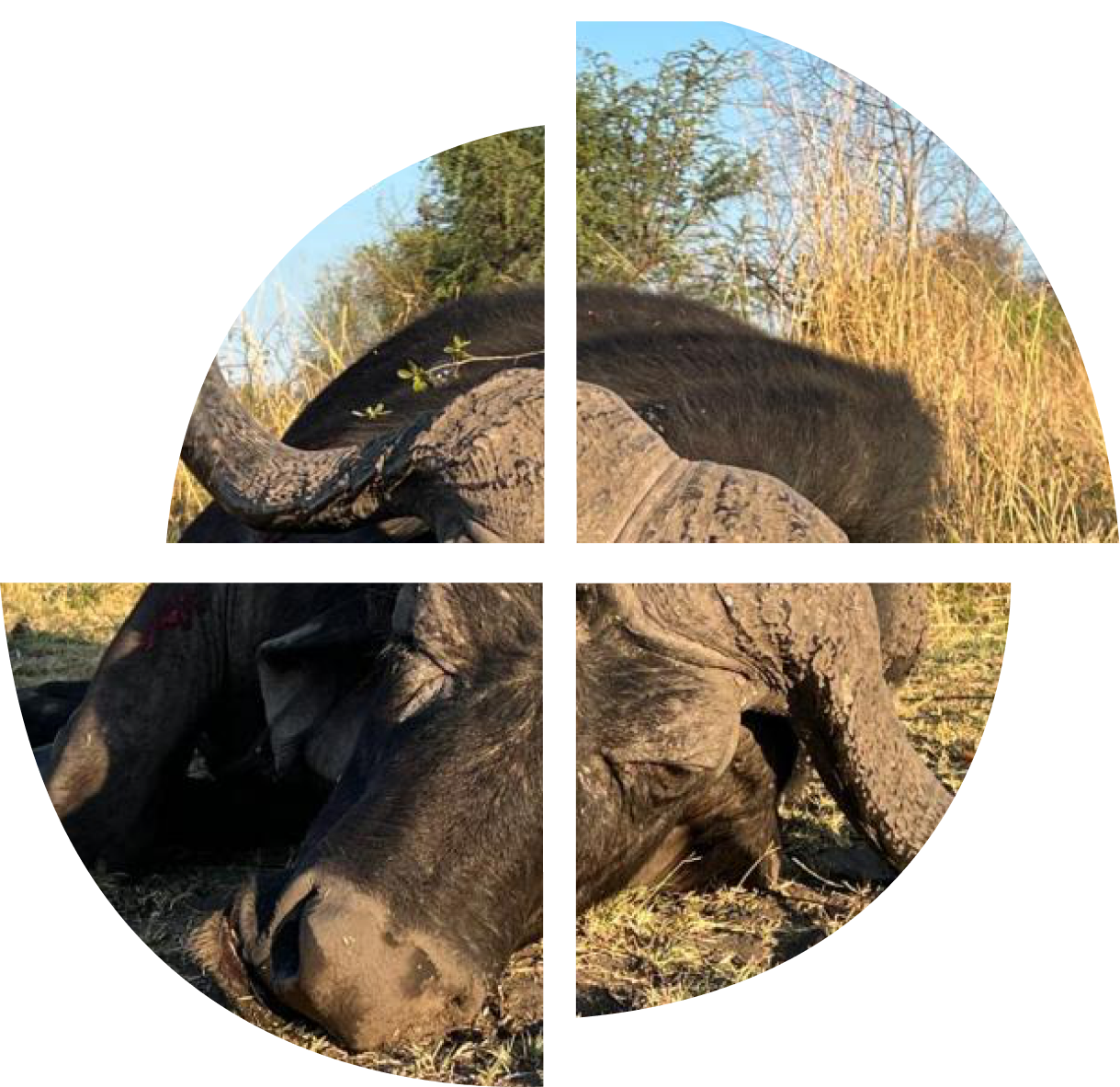 Namibia hunting areas map